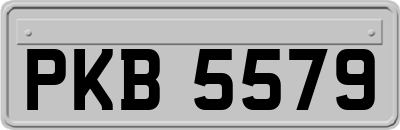 PKB5579
