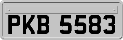 PKB5583