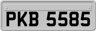 PKB5585