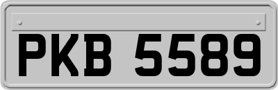 PKB5589