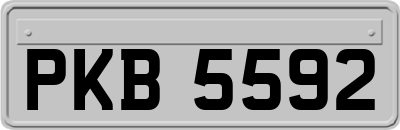 PKB5592