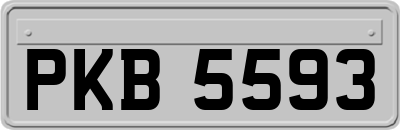 PKB5593