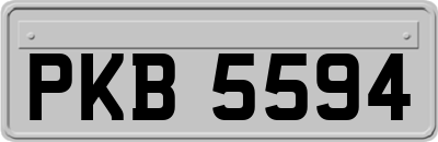 PKB5594