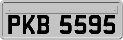 PKB5595