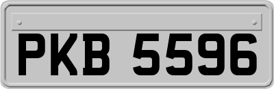 PKB5596