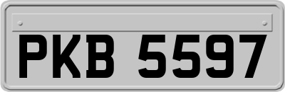PKB5597