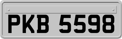 PKB5598
