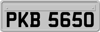 PKB5650