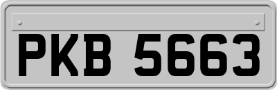 PKB5663