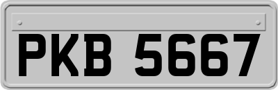 PKB5667