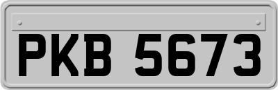 PKB5673