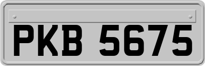 PKB5675