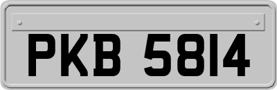 PKB5814