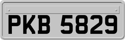 PKB5829
