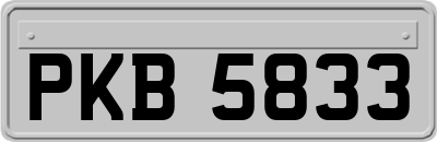 PKB5833