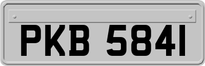 PKB5841