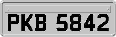 PKB5842