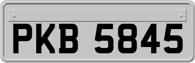 PKB5845