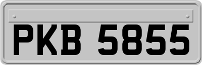 PKB5855