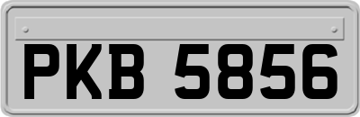 PKB5856