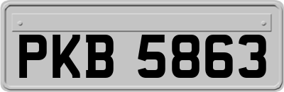 PKB5863