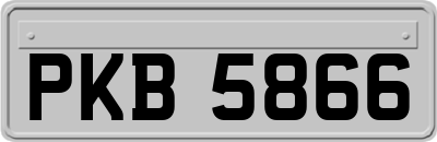 PKB5866