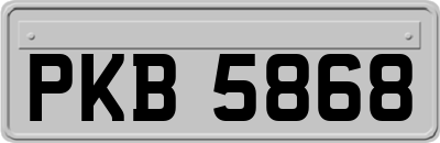 PKB5868