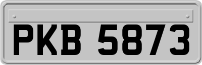 PKB5873