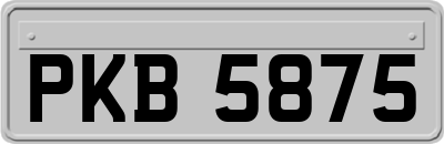 PKB5875