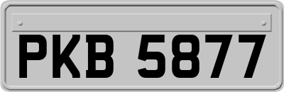PKB5877