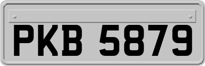 PKB5879
