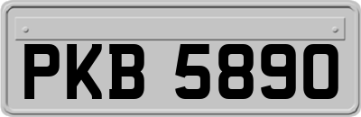 PKB5890