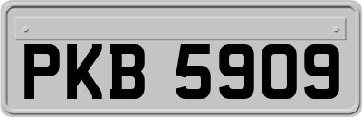 PKB5909