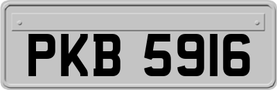 PKB5916