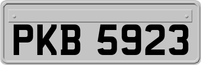 PKB5923