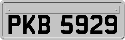 PKB5929