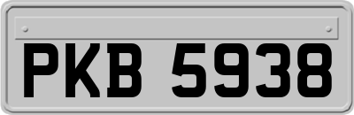 PKB5938