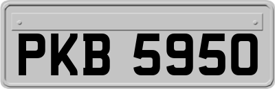 PKB5950