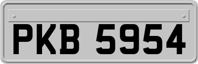 PKB5954