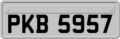 PKB5957