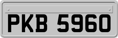 PKB5960