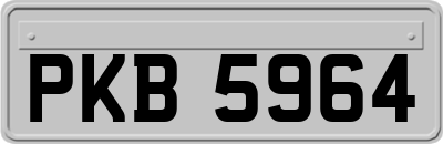 PKB5964