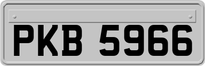 PKB5966