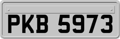 PKB5973