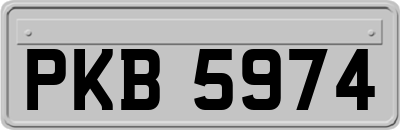 PKB5974