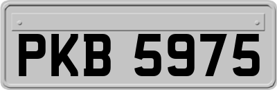 PKB5975