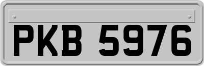 PKB5976