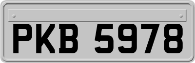 PKB5978