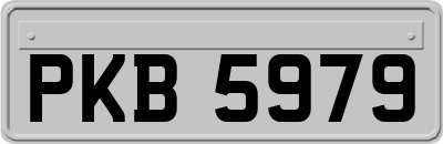 PKB5979