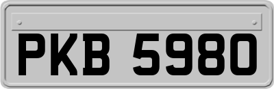 PKB5980